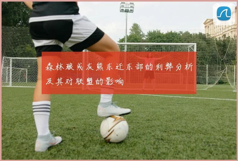 森林狼或灰熊东迁东部的利弊分析及其对联盟的影响