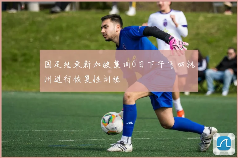 国足结束新加坡集训6日下午飞回杭州进行恢复性训练