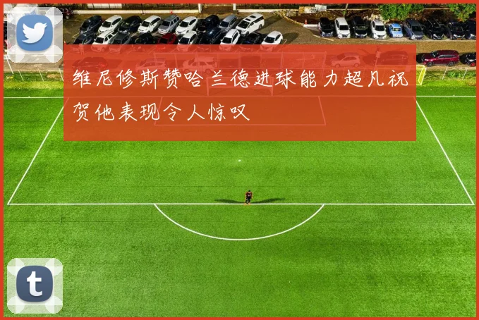 维尼修斯赞哈兰德进球能力超凡祝贺他表现令人惊叹